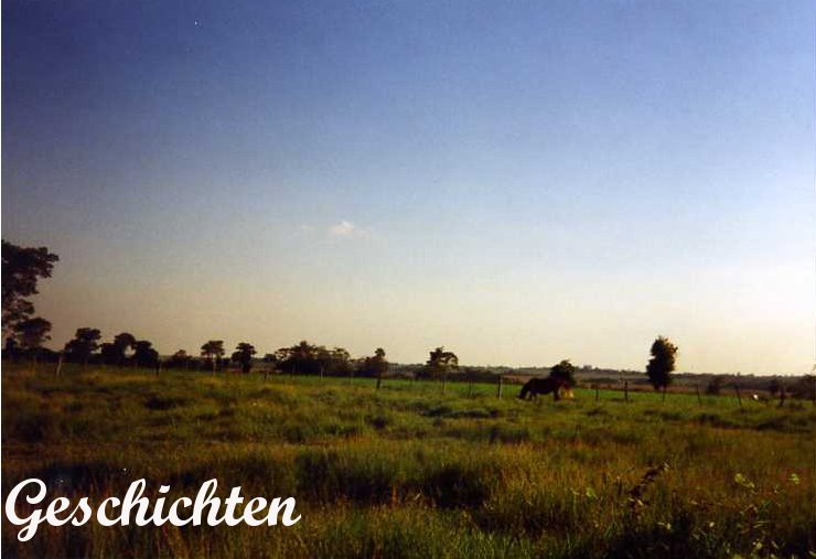 Freies Feld bei Sonnenuntergang